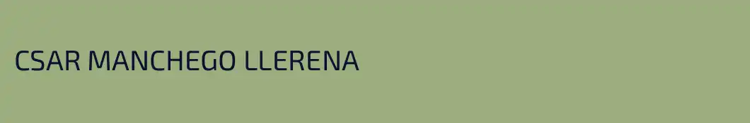 CSAR MANCHEGO LLERENA